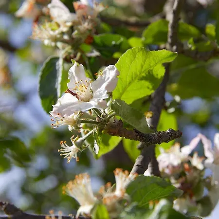 Vordergugg * Mittersill