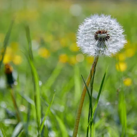Vakantieboerderij Vordergugg *