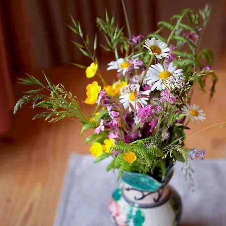 Vordergugg Bauernhof Mittersill