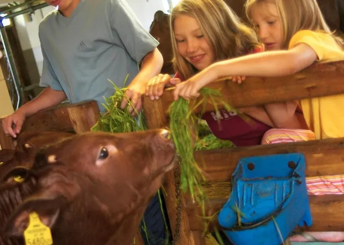 Vordergugg Κατάλυμα σε φάρμα