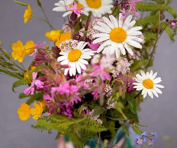 Vordergugg Κατάλυμα σε φάρμα *