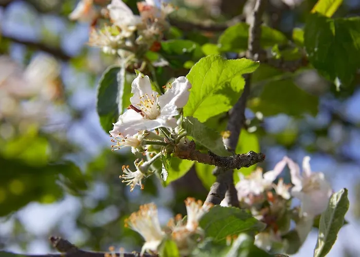 Vordergugg * Mittersill