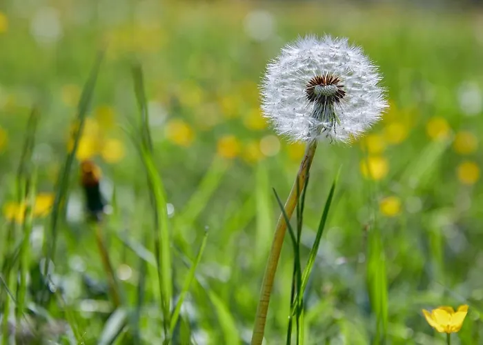 Κατάλυμα σε φάρμα Vordergugg *