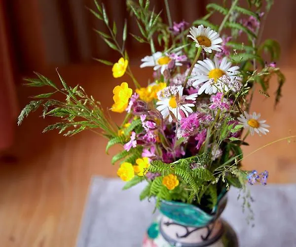 Vordergugg Κατάλυμα σε φάρμα Mittersill